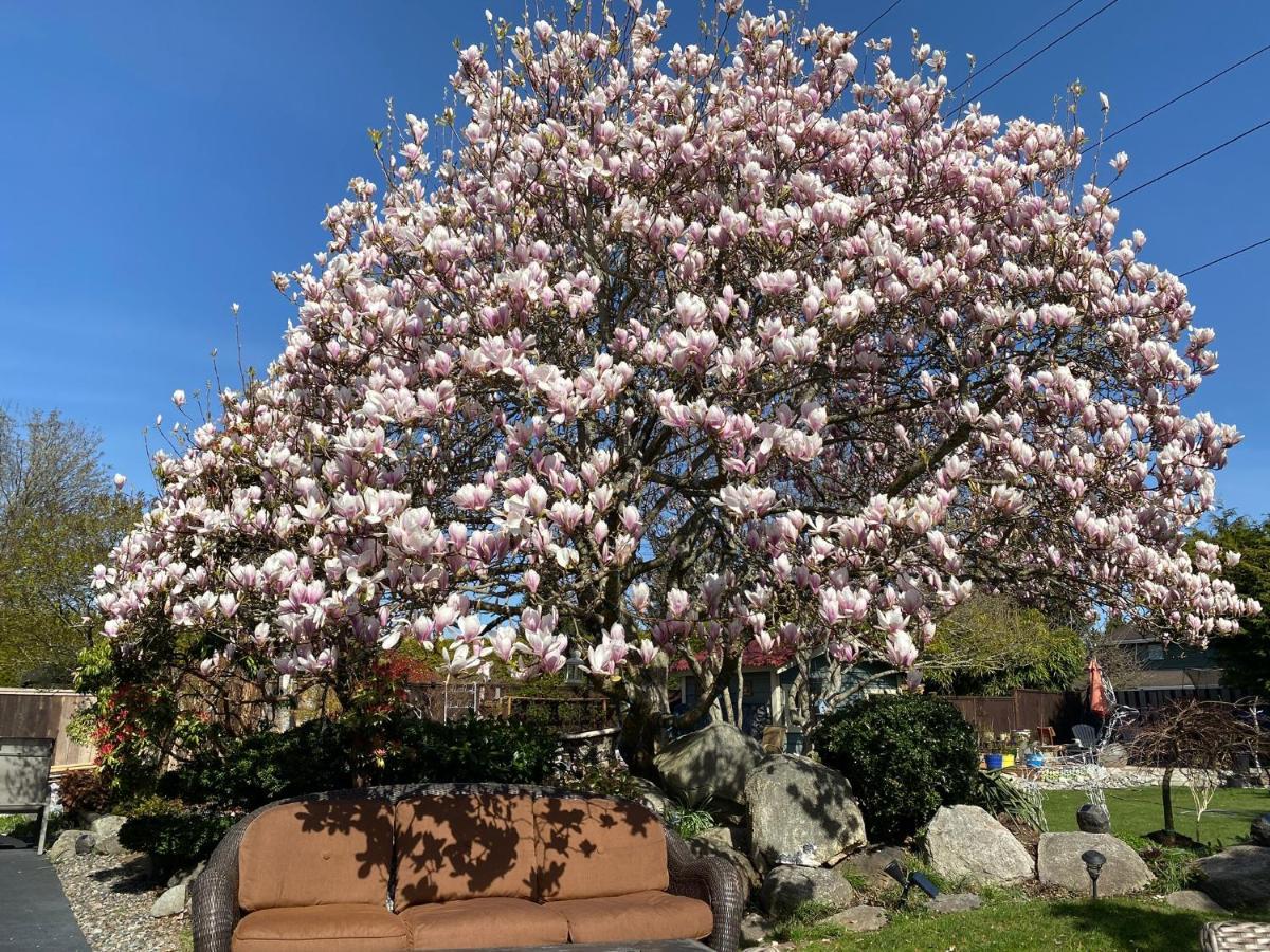 Xanadu 世外桃源 Villa Tsawwassen Dış mekan fotoğraf